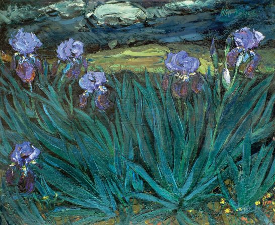 Lirios con cielo oscuro Iris morados en un campo verde bajo un cielo oscuro y nublado.